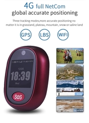 GPS lokátor s SOS tlačítkem V28-07535